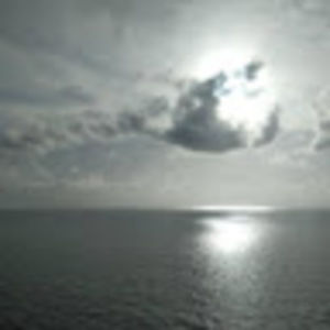 Meet your Posher, Emily raine